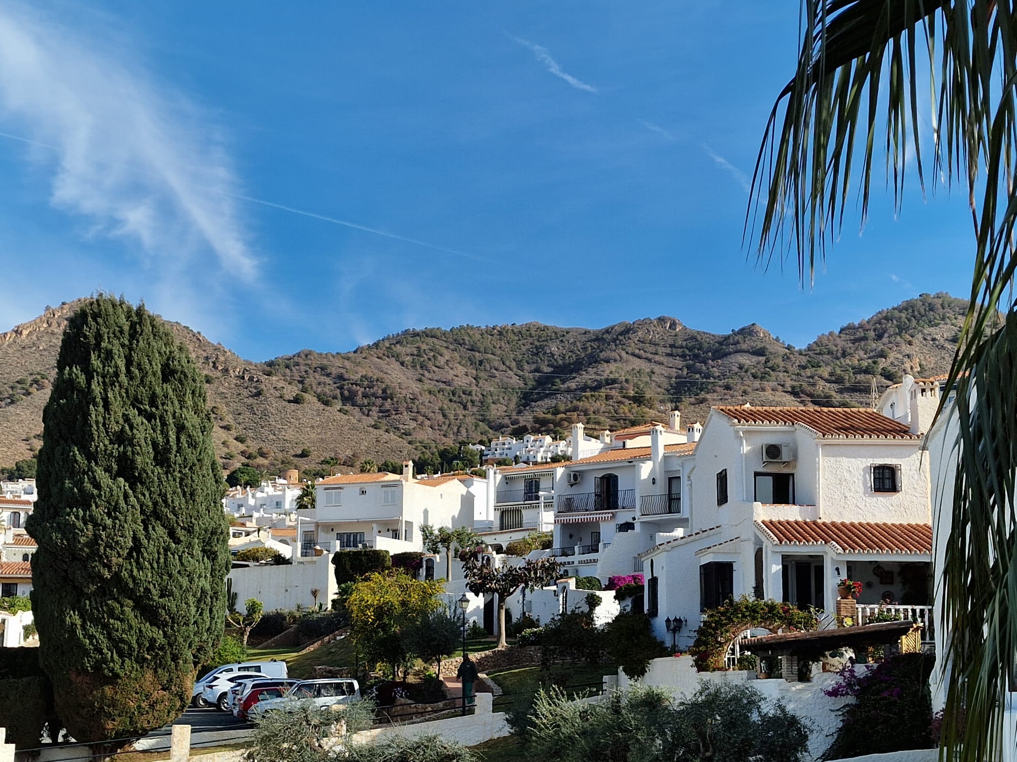 Ansichten Haus Dalias